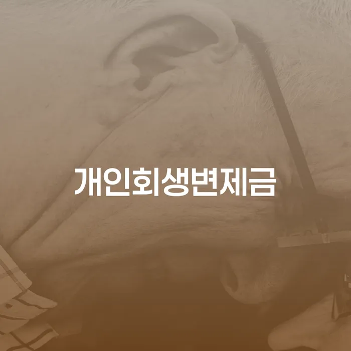 안동시 법무사개인회생 빚독촉 상세히알기