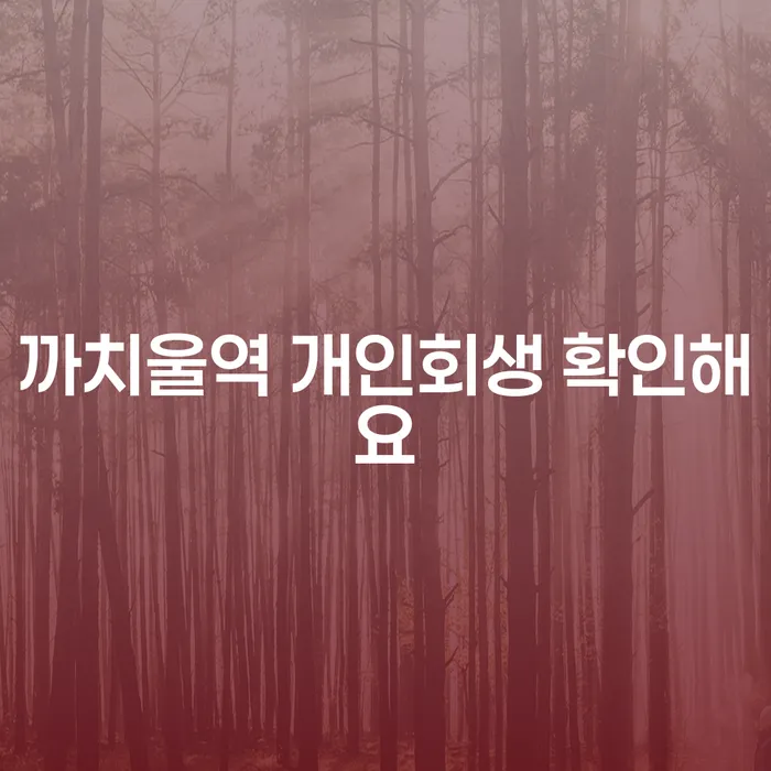 까치울역 개인회생 확인해요