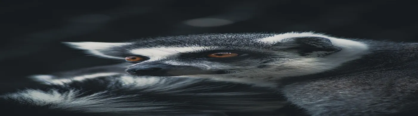 법무법인 서앤율