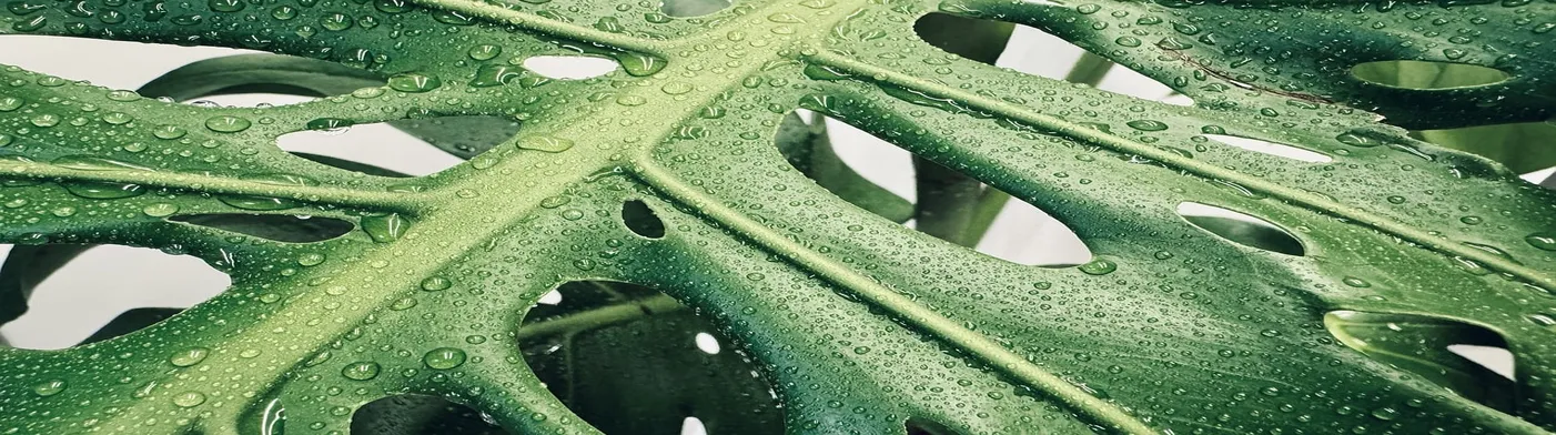 법무법인 서앤율